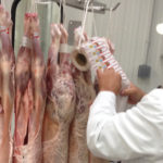 Convocadas las elecciones a los consejos de las figuras de calidad del lechazo de CyL, la lenteja de Tierra de Campos y al Consejo de Agricultura Ecológica de la comunidad lechazo etiquetado