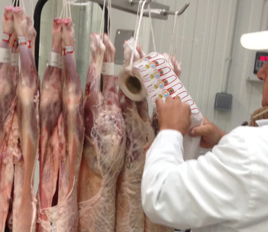 ASAJA pide a Junta y Ministerio que se refuercen los controles para evitar fraudes con el lechazo importado lechazo etiquetado