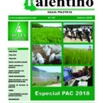 CAMPO PALENTINO febrero 201801 copia