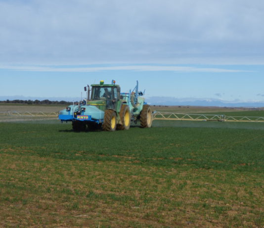 Publicada nueva normativa para el almacenamiento de productos fitosanitarios