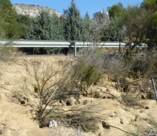 Convocadas pruebas para obtener la licencia de caza