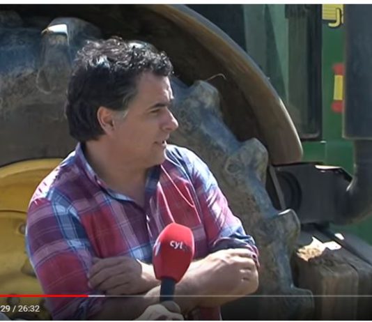 Campo Palentino 31 mayo 2018