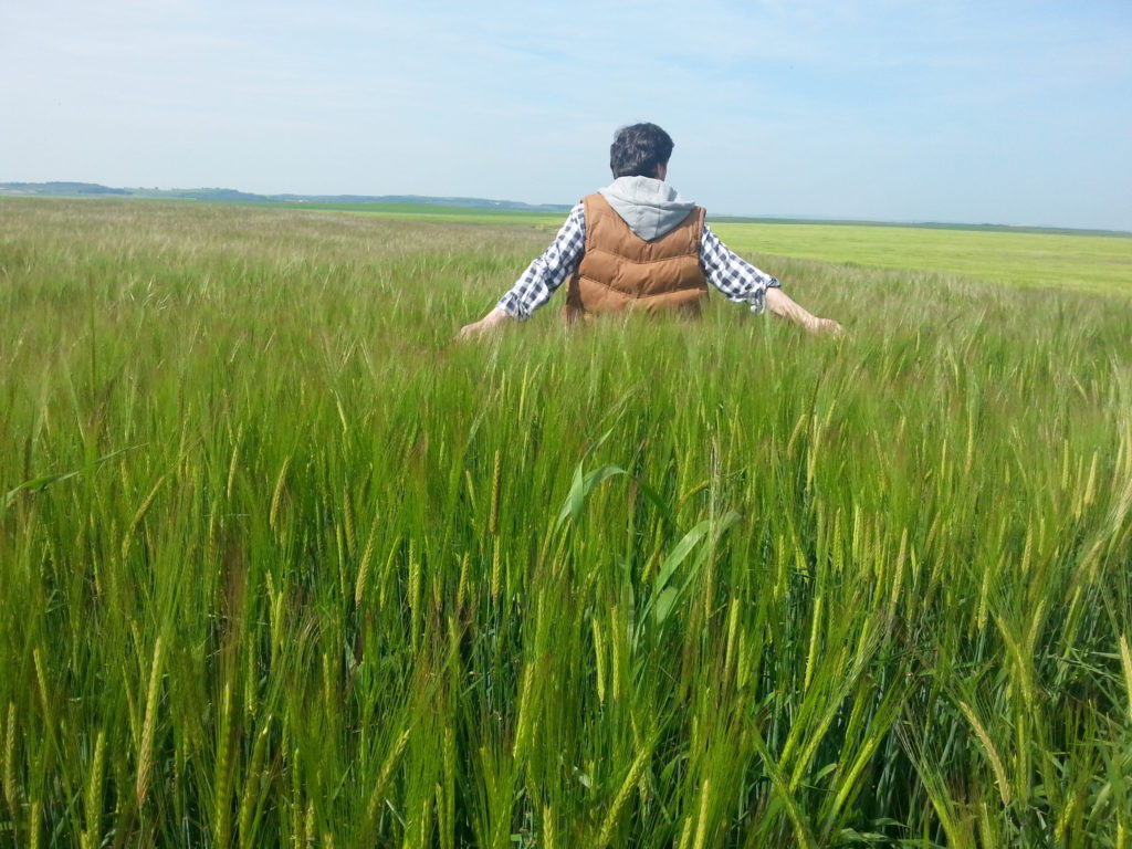 Modernización de explotaciones. Asaja Palencia