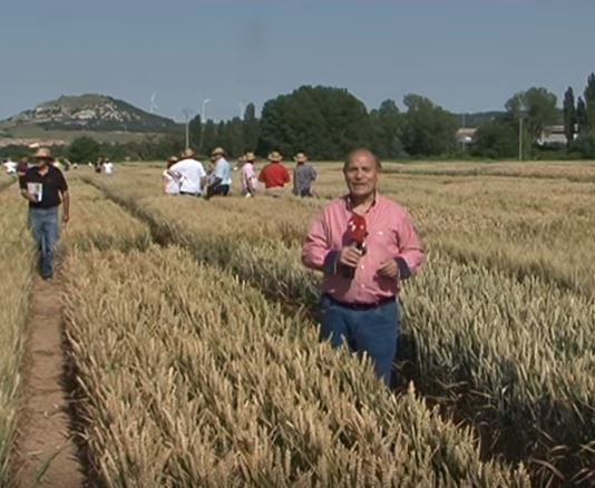 Campo Palentino 28 junio 2018