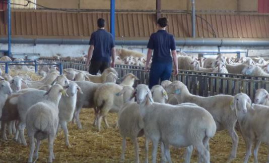 Publicado el Convenio del Campo de Palencia