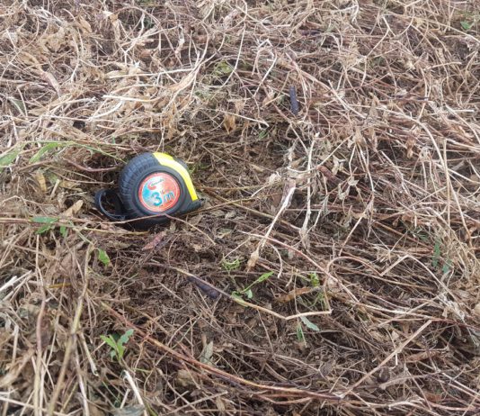 ASAJA Palencia agradece la mayor presencia de peritos de Agroseguro para tasar los daños del pedrisco