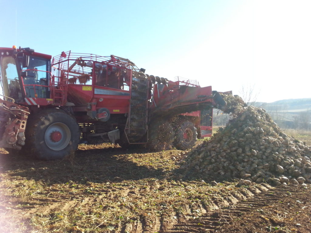 Cosecha de remolacha. Foto Asaja Palencia