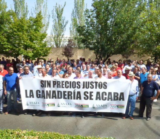 Los ganaderos de ovino de leche protestan por los bajos precios
