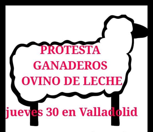 Manifestación de apoyo al ovino de leche el jueves 30