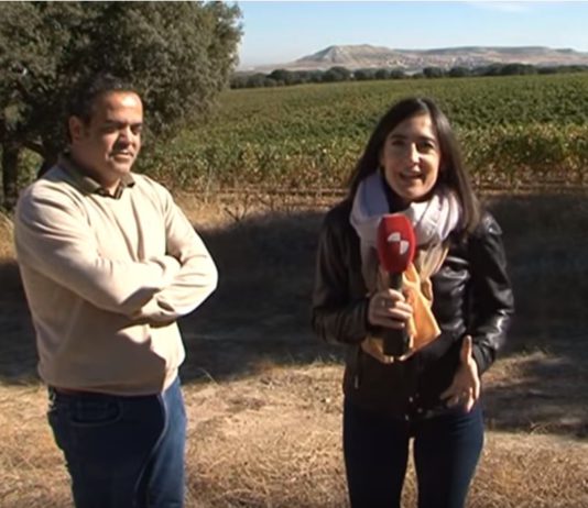 Campo Palentino 18 octubre 2018