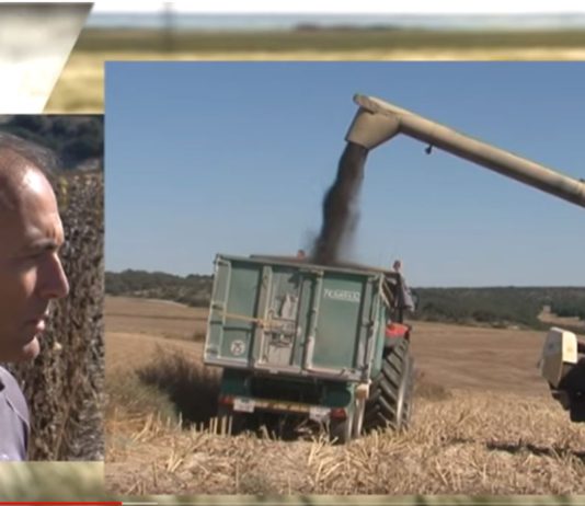 Campo Palentino 4 octubre 2018