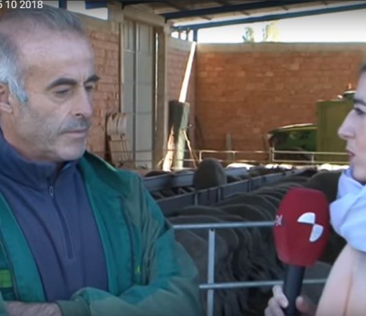 Campo Palentino 25 octubre 2018