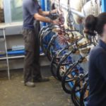 El 15 de octubre, jornada en ASAJA sobre el día mundial de la mujer rural