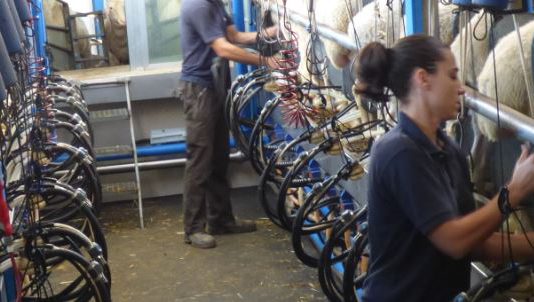 El 15 de octubre, jornada en ASAJA sobre el día mundial de la mujer rural