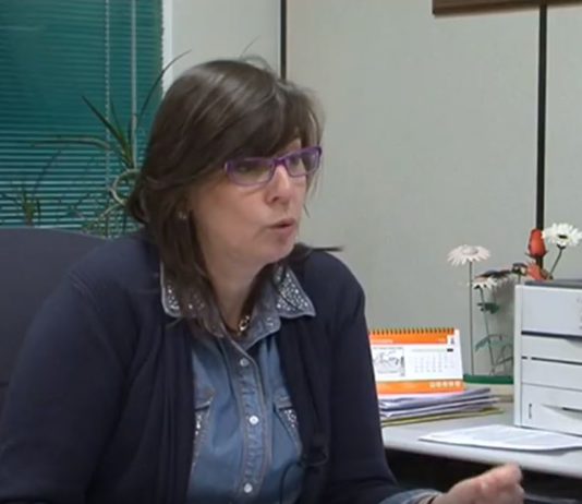 Campo Palentino 22 noviembre 2018