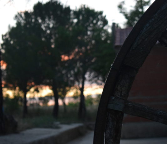 Ya se conocen los ganadores de los concursos de ASAJA para niños y jóvenes patrocinados por la Fundación Villalar Castilla y León