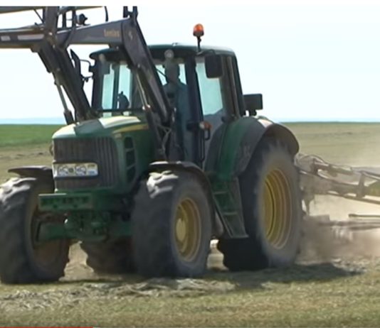 Campo Palentino 15 noviembre 2018