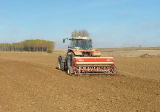 El campo afronta la última semana de noviembre con la mitad de la superficie de cereal sin sembrar