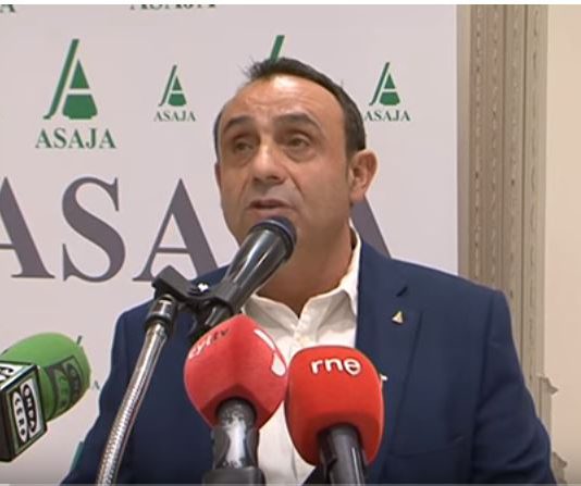 Campo Palentino 13 diciembre 2018