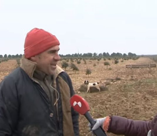 Campo Palentino 24 enero 2019