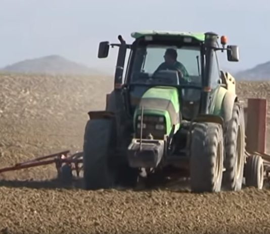 Campo Palentino 10 enero 2018