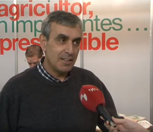 Campo Palentino 31 enero 2019