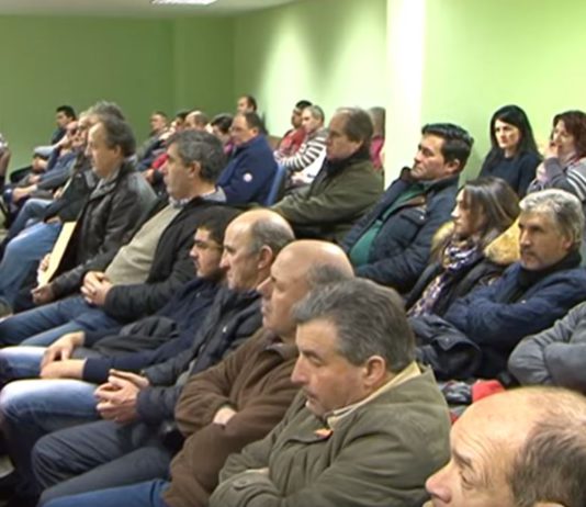 Campo Palentino 7 febrero 2019