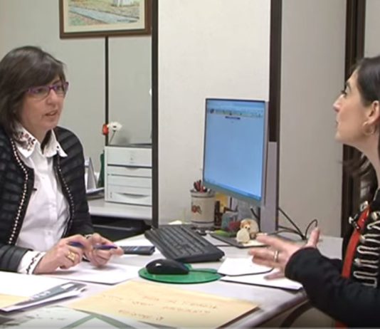 Campo Palentino 14 febrero 2019