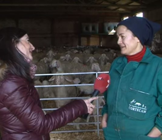 Campo Palentino 14 marzo 2019