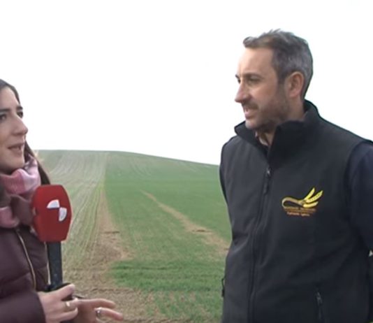 Campo Palentino 28 febrero 2019