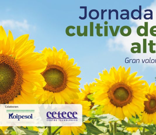 El 15 de marzo, jornada sobre el cultivo del girasol alto oleico