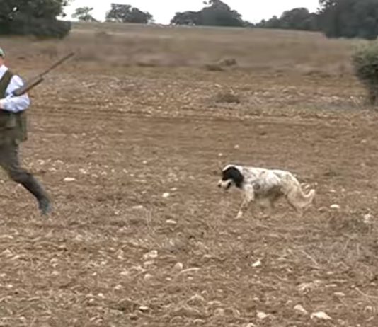 Campo Palentino 4 abril 2019