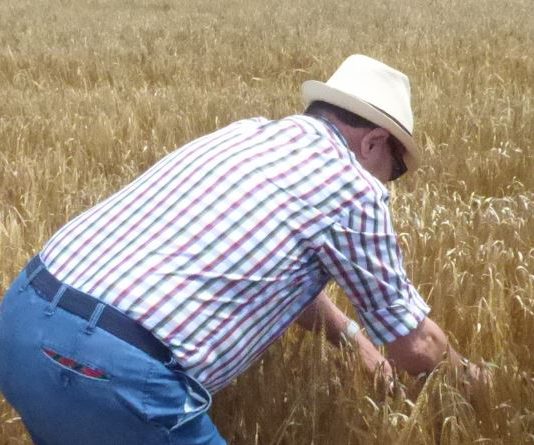 ASAJA consigue que los agricultores que optaron al cese anticipado no dejen de recibir ayuda, aunque se posponga la edad de jubilación