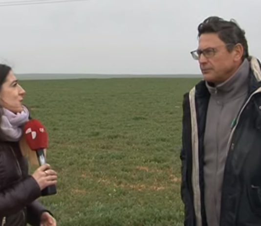 Campo Palentino 11 abril 2019