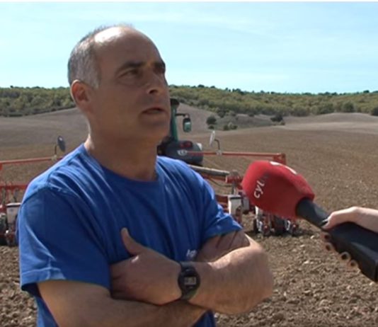 Campo Palentino 2 mayo 2019