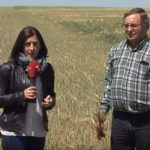 Campo Palentino 30 mayo 2019