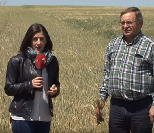 Campo Palentino 30 mayo 2019