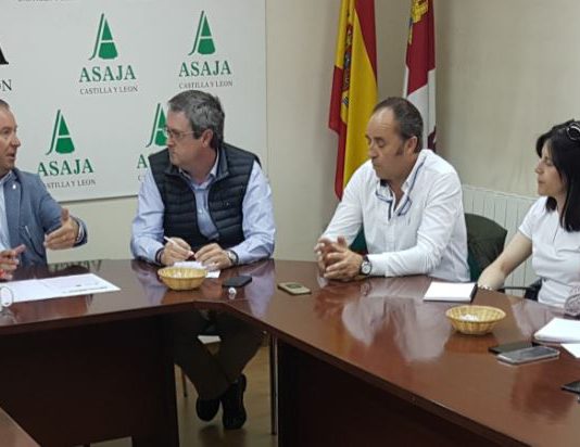 Agroseguro comenzará a peritar en Castilla y León la próxima semana, empezando por las provincias del Suroeste, las más castigadas