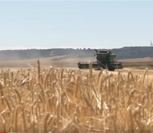 Campo Palentino 20 junio 2019