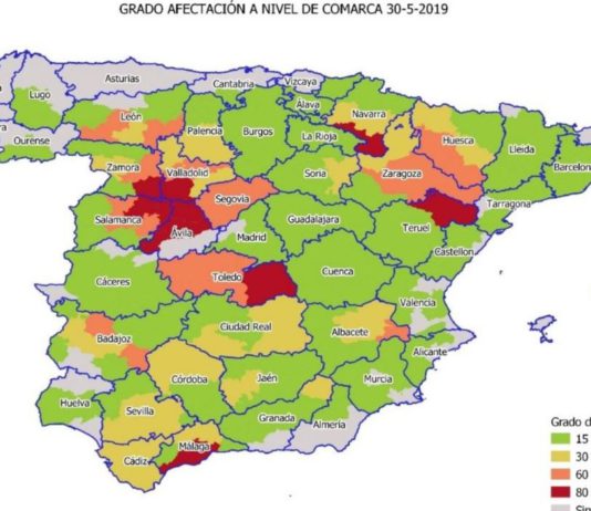 La cosecha en España sufrirá un severo recorte y no llegará a los 12,5 millones de toneladas