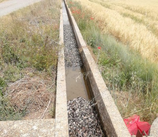 ASAJA pide coordinación entre Sacyl y Seguridad Social para que los casos de tularemia del sector se declaren como enfermedad profesional