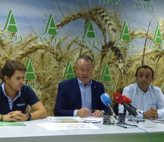 ASAJA denuncia la incompetencia de las Administraciones en la gestión de la plaga de topillos