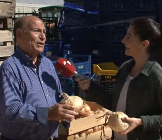 Campo Palentino 10 octubre 2019