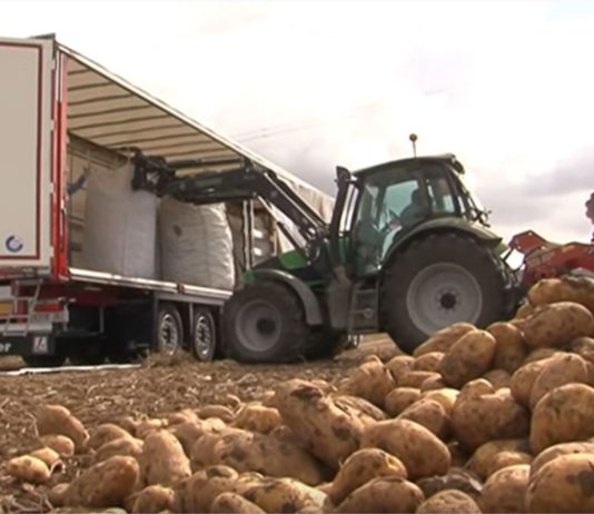 Campo Palentino 24 octubre 2019