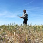 Ampliado el plazo de las ayudas para los intereses de préstamos de afectados por sequía