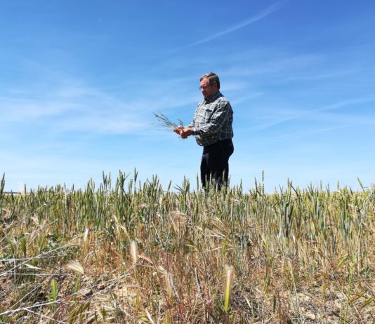 Ampliado el plazo de las ayudas para los intereses de préstamos de afectados por sequía