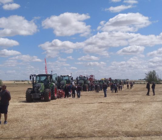 El ‘Plan Renove’ defrauda las expectativas del sector