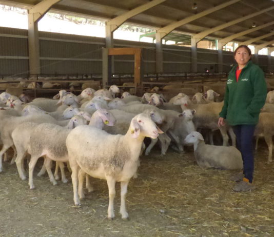 Una encuesta de ámbito europeo muestra el desconocimiento del sector ganadero por parte de la población