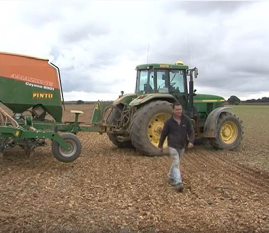 Campo Palentino 31 octubre 2019