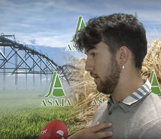 Campo Palentino 21 noviembre 2019